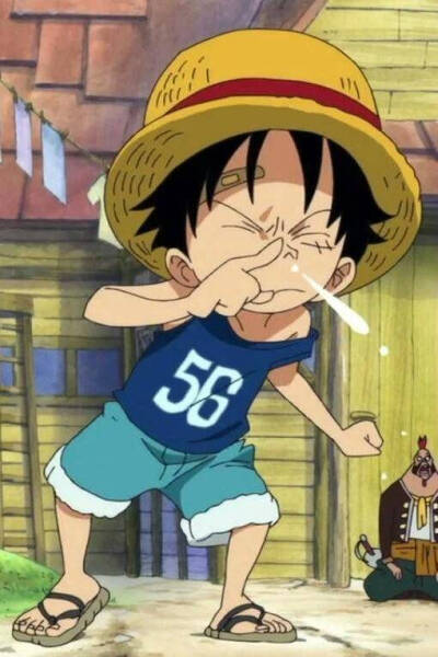 路飞艾斯小时候