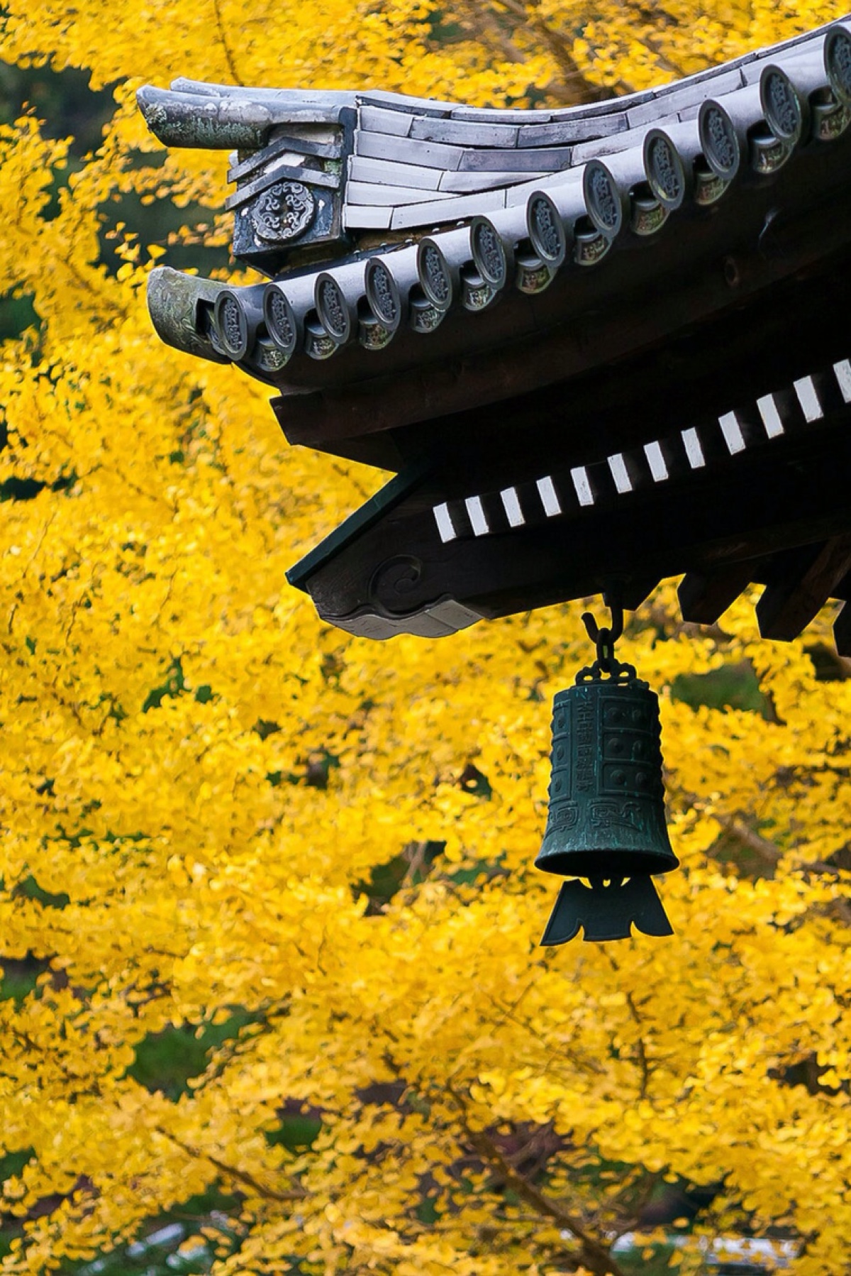 京都风景 堆糖 美图壁纸兴趣社区