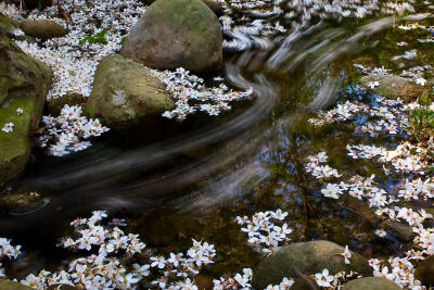 落花流水