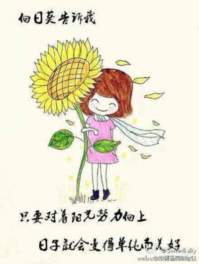 向日葵女孩
