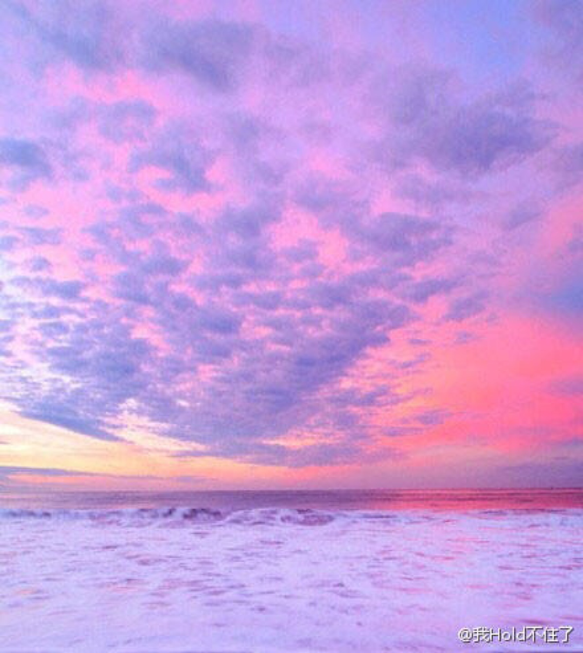 世上独一无二的粉色沙滩,巴哈马哈勃岛东侧的pink sands beach