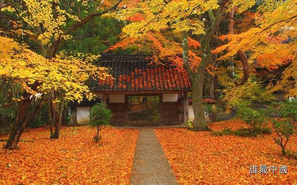 幽静通深院红叶铺青阶秋日寺院门