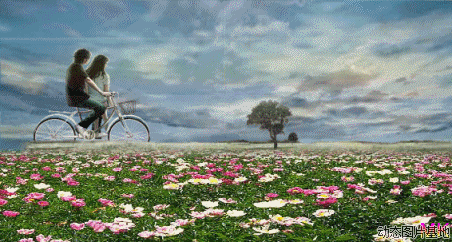 动态图.简单爱,动漫情侣骑单车唯美图片,… - 堆糖,美