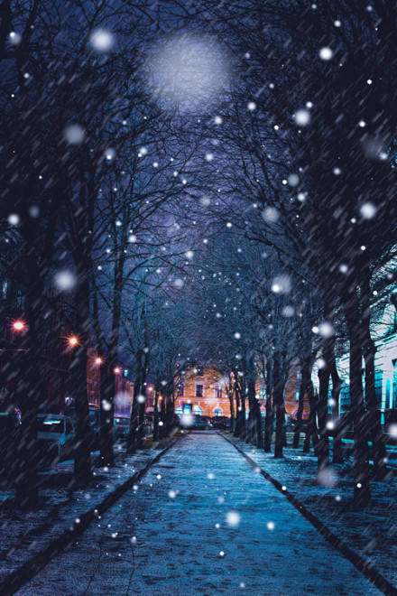 冬夜雪景 堆糖 美图壁纸兴趣社区
