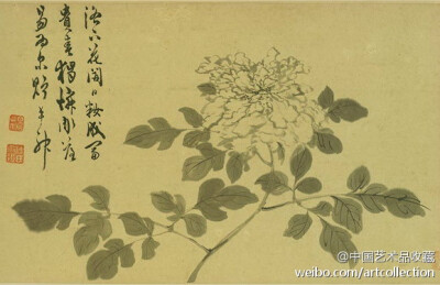 水墨画 明 陈淳《花卉图】卷,纸本,32.