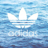 潮牌〔adidas