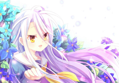 白大人~ po太魔no game no life 『游戏人生,剩者为王』『动漫 美少女