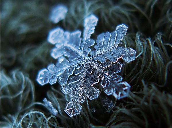 雪花的形状