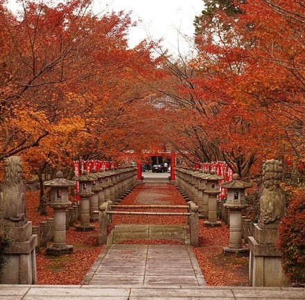 兵庫県 ひょうごけん 的紅葉 图片分别摄于丹波市 篠山市 Jpg 堆糖 美图壁纸兴趣社区