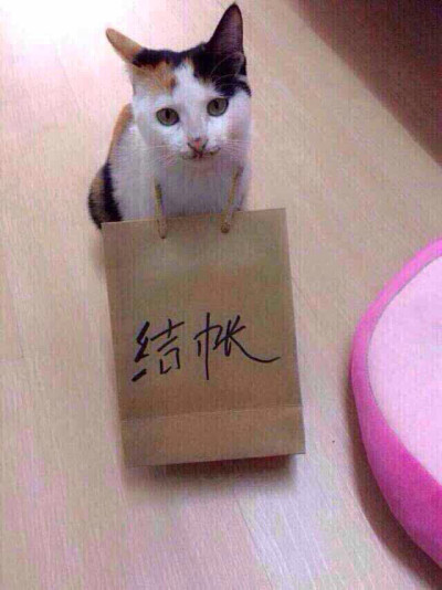 结账了
