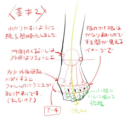 腿和脚的绘制方法{各个角度都有讲解到 有帮助了解结构}