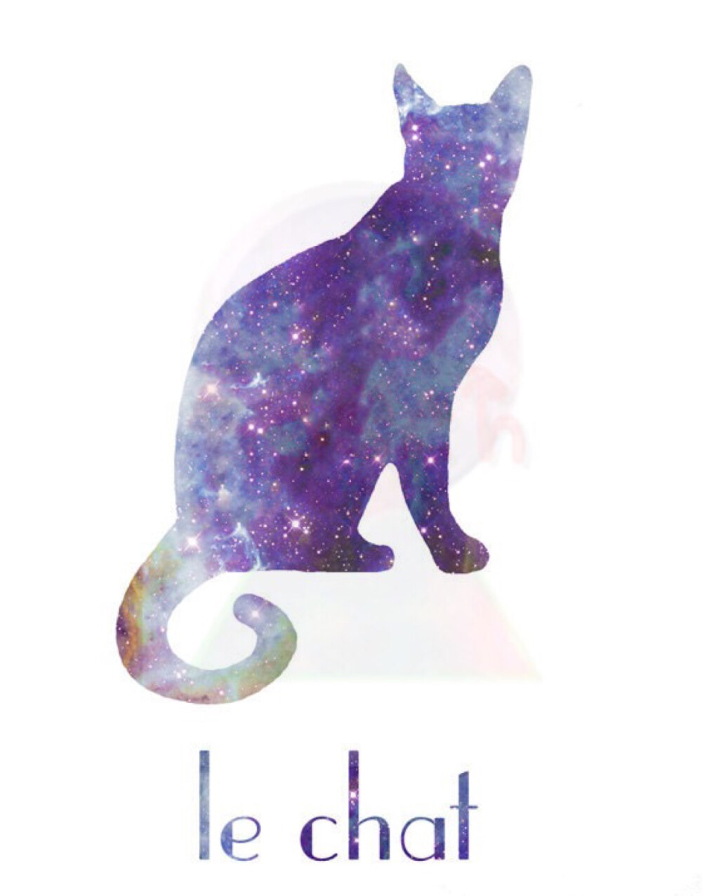 星空猫