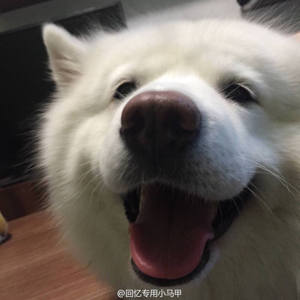 妞妞的笑太可爱了