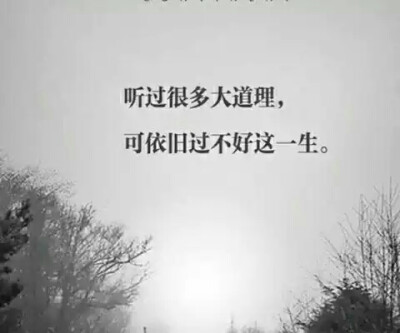 故事大道理