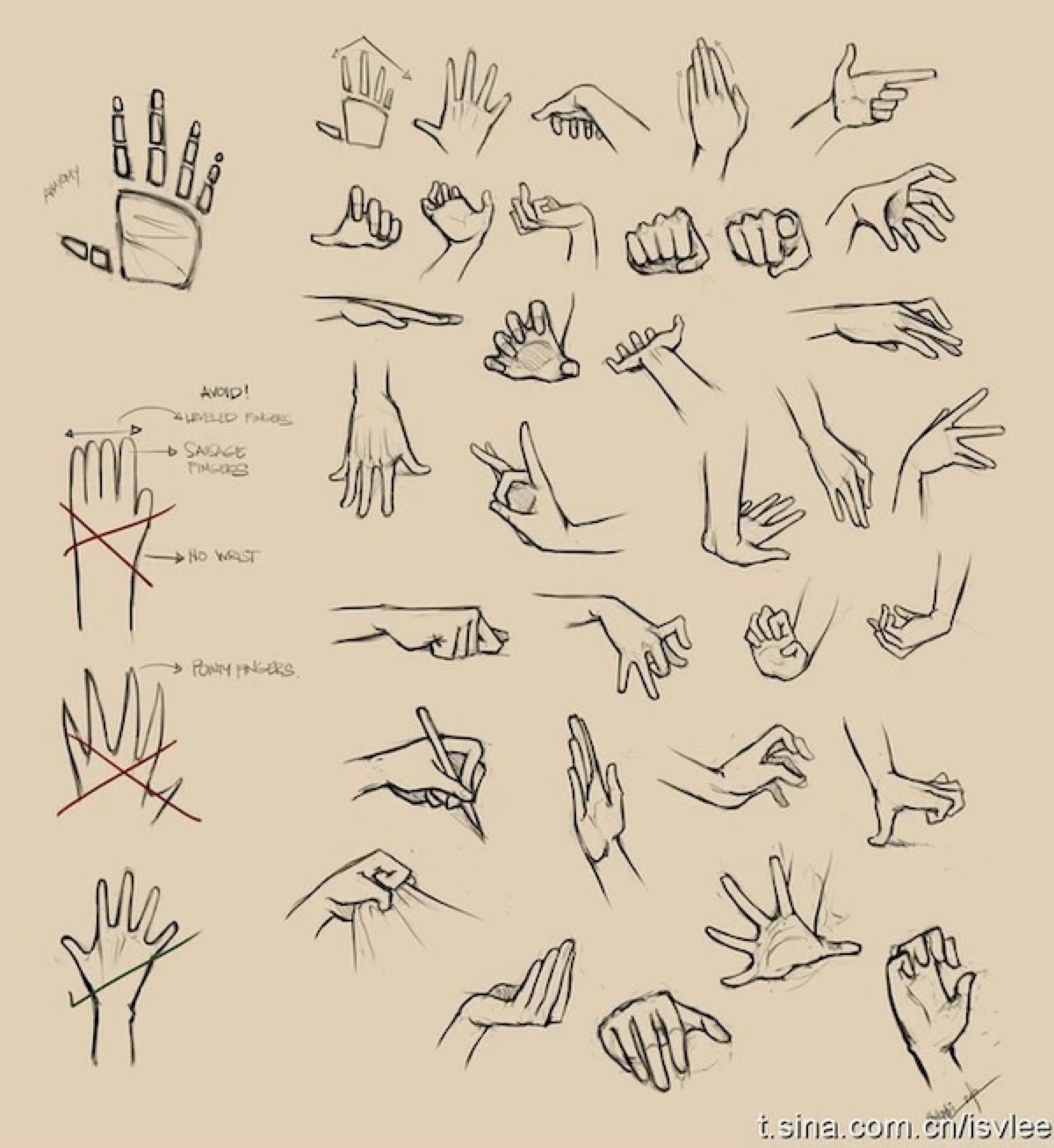 绘画教程()手,手指