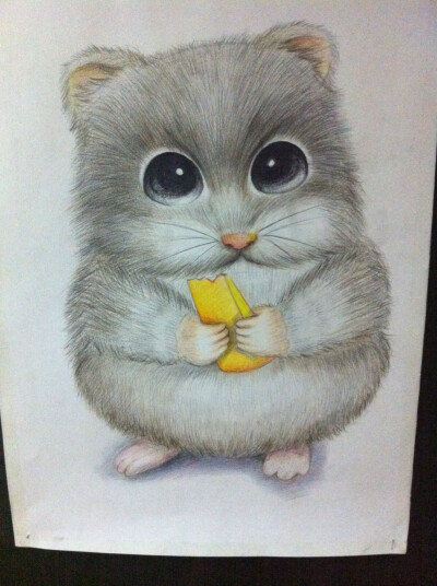 可爱的仓鼠,彩铅画,毛绒绒的,可爱(●°u°●) 」
