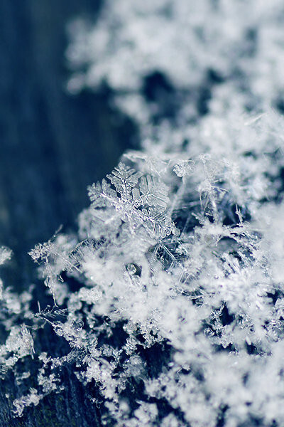 雪花冰晶 堆糖,美图壁纸兴趣社区