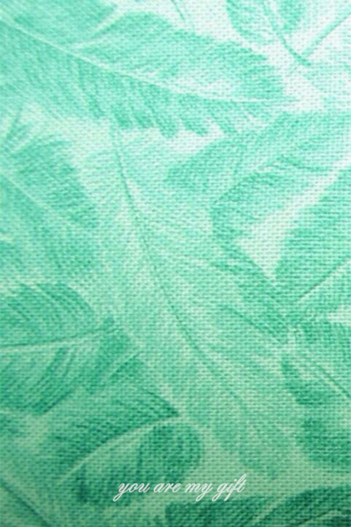 薄荷绿 堆糖,美图壁纸兴趣社区