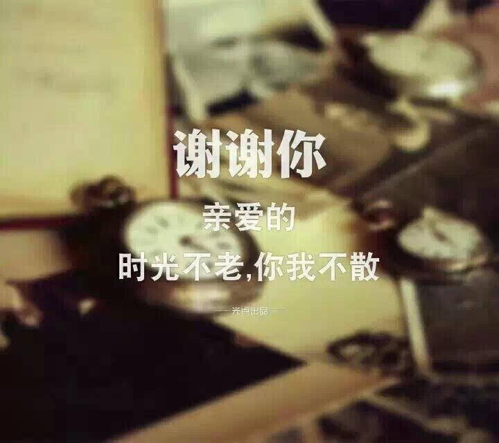 文字系的头像,唯美哦