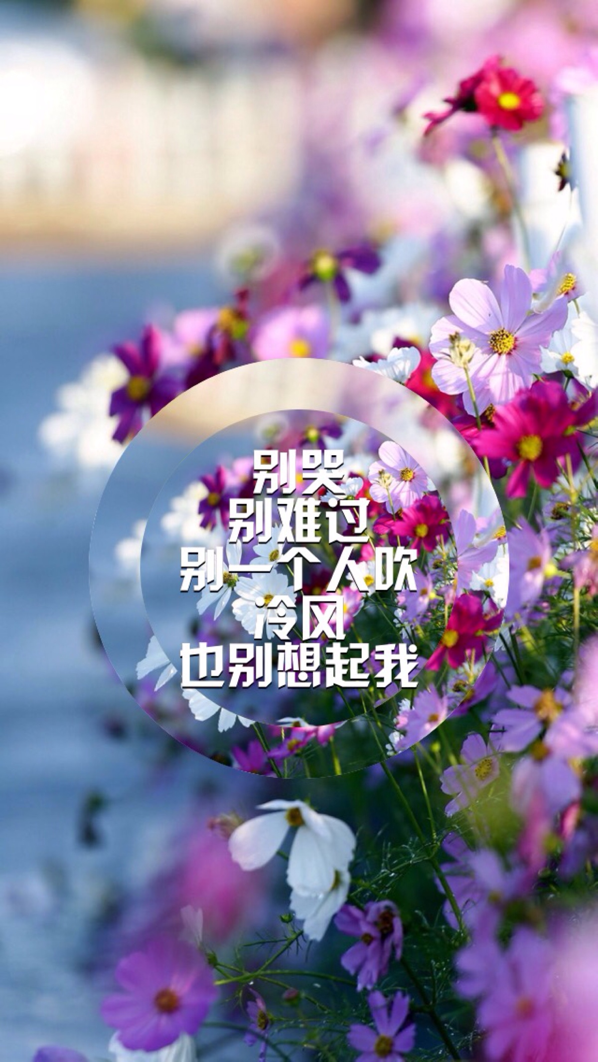 文字壁纸 高清壁纸 iphone壁纸