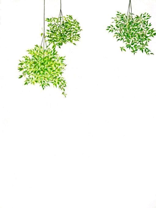 白底小清新壁纸
