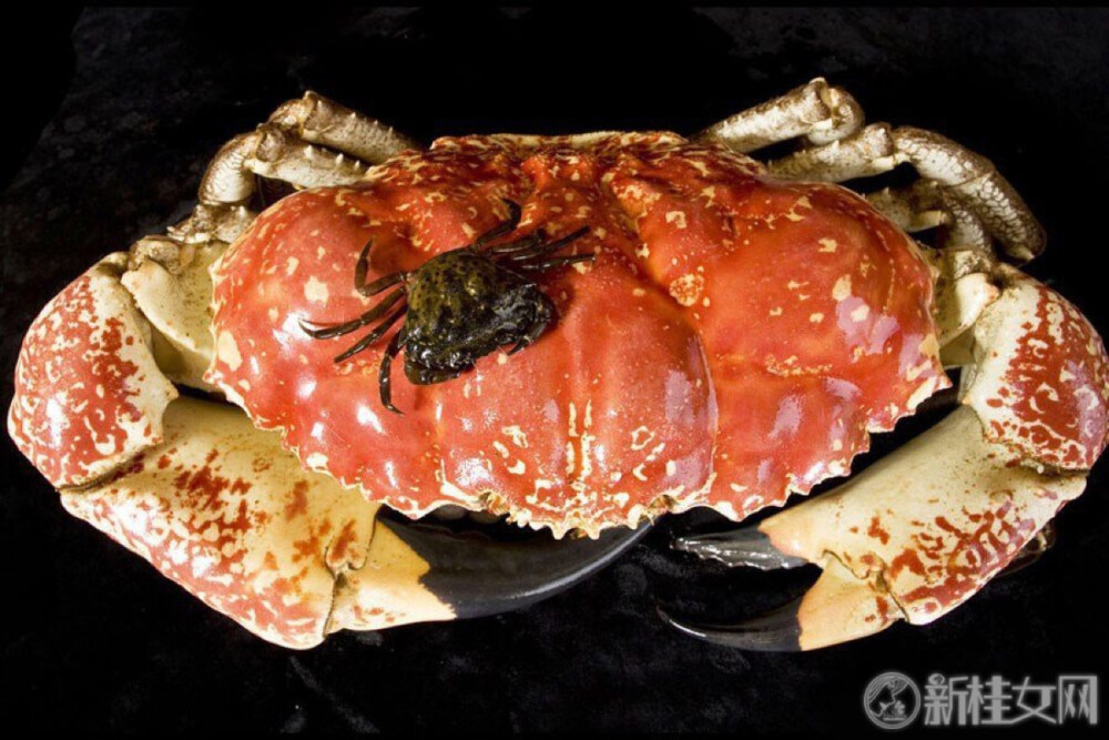 中文名:巨大拟滨蟹 俗称:皇帝蟹,澳洲皇帝蟹,澳洲巨蟹,奇重伪背蟹.