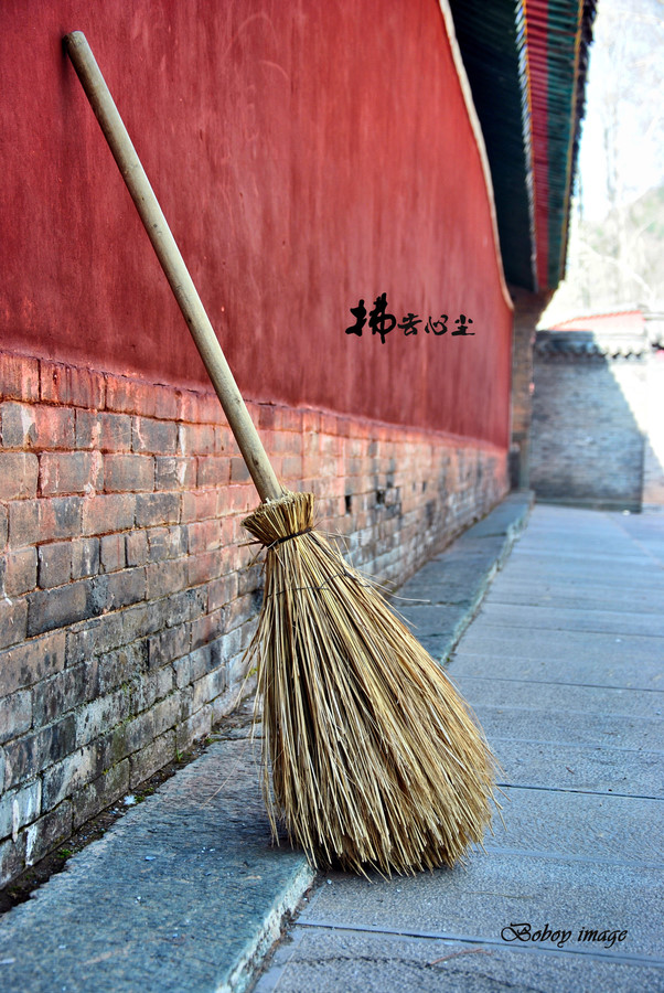 途有扫地僧,殿供佛光影. 问故何去来,却答不知情.