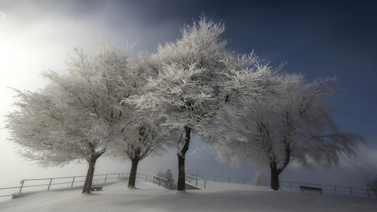 冬季清新唯美雪景桌面壁纸 第8页_电脑桌