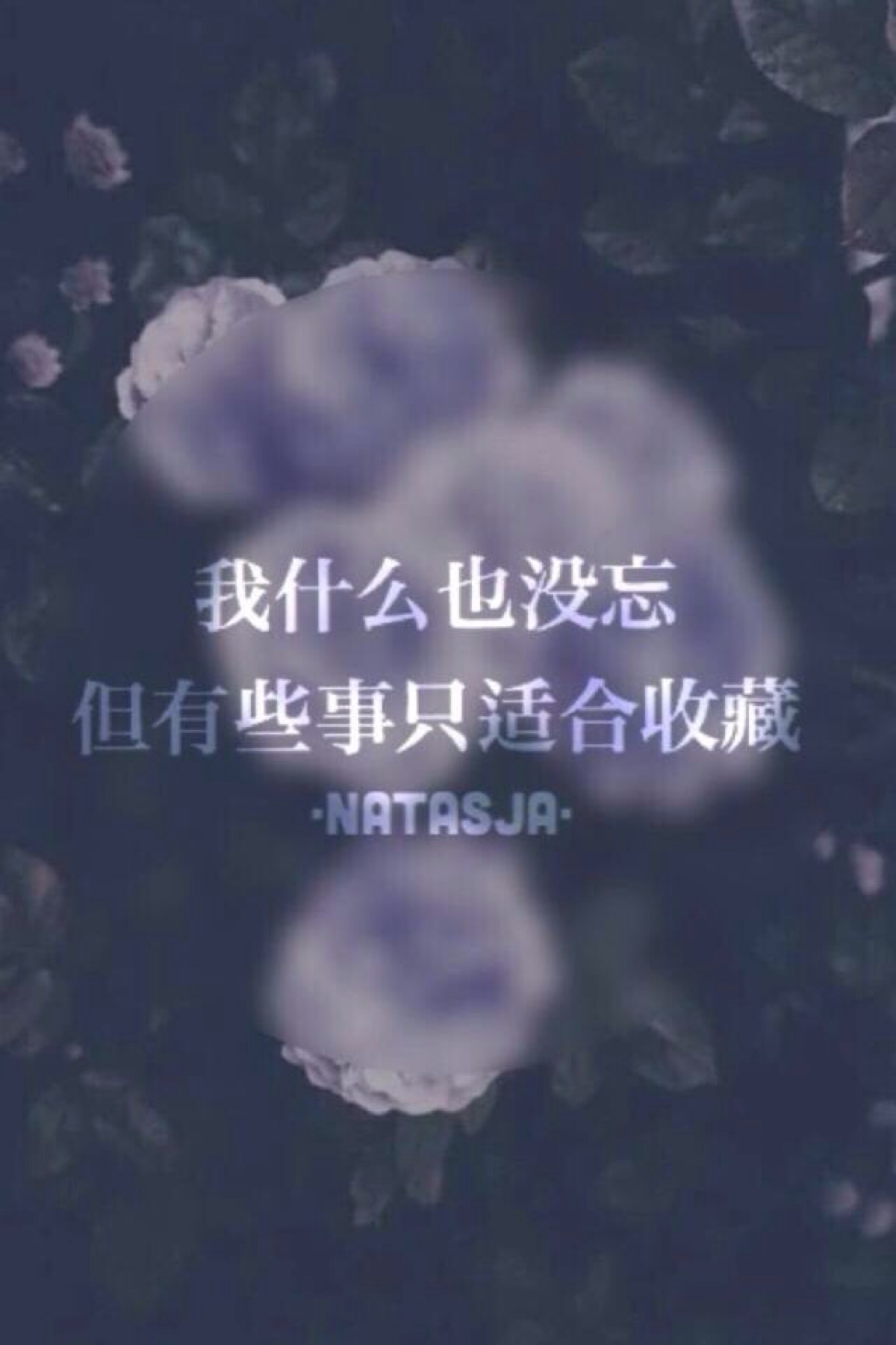 我什么都没忘 但有些事只适合收藏 文字 壁纸 美图