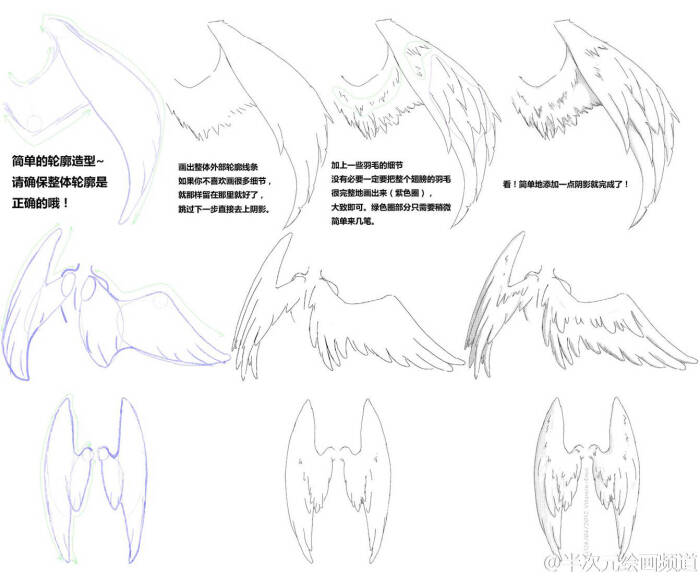 学会这几种画法,掌握翅膀背&amp;腹面的形态区别~天使与恶魔的