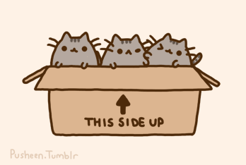 pusheen the cat ~ 纸箱 this side up