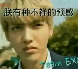 exo表情包#吴亦凡# "朕有种不祥的预感"