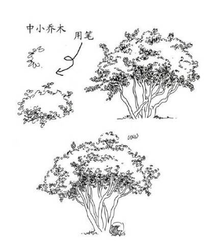 手绘教程,漫画人物线稿,风景