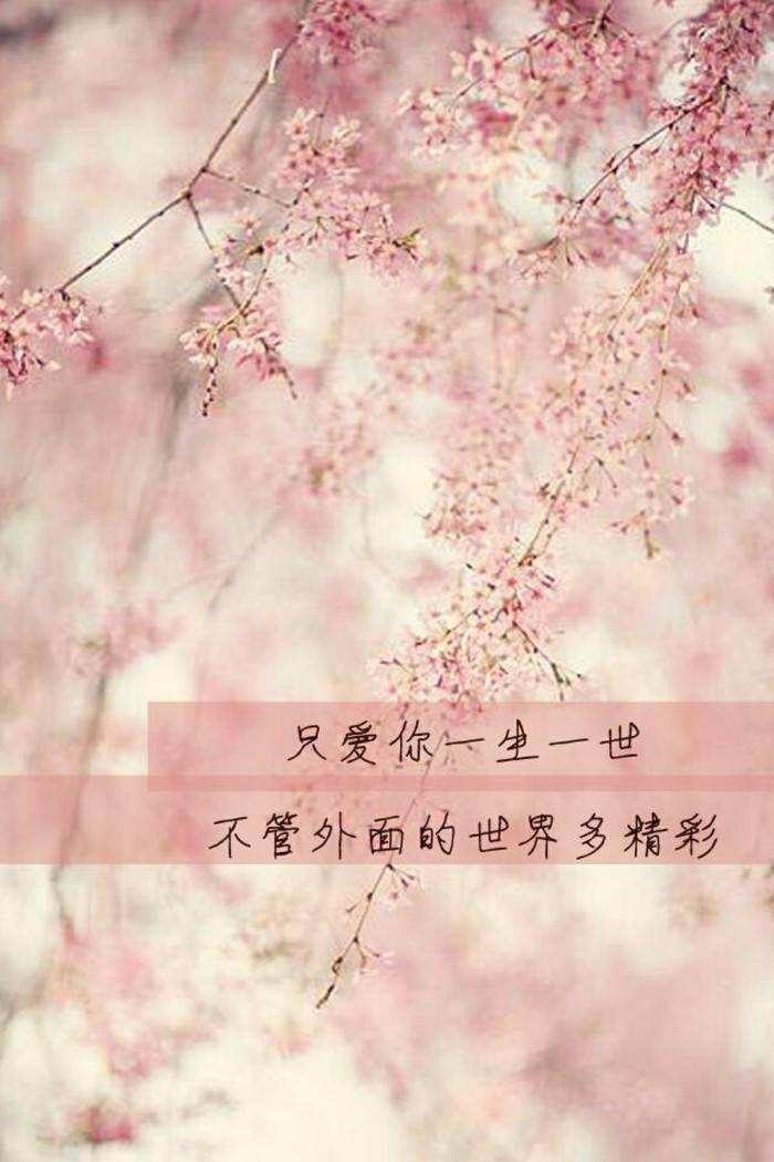 只爱你一生一世,不管外面的世界多精彩