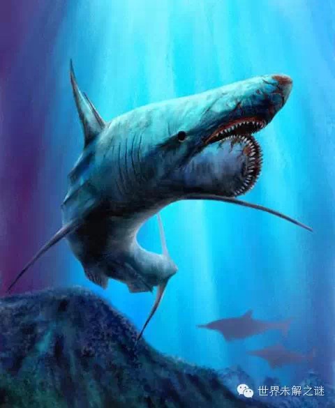 二叠纪最巨型的海洋生物为旋齿鲨,旋齿鲨类共有两大类,一类与晚石炭纪