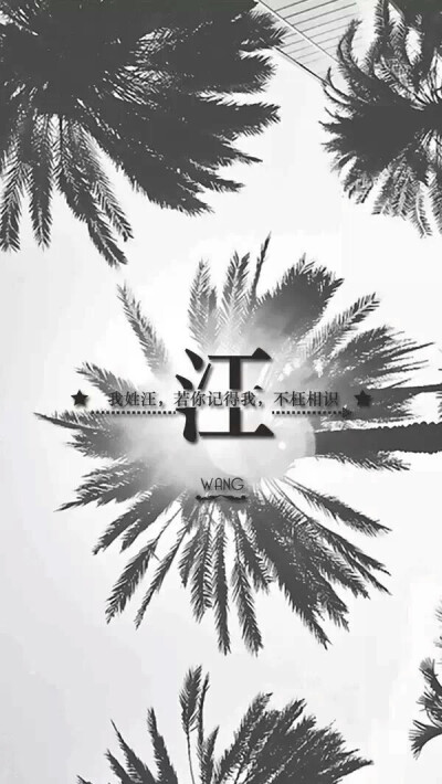 我姓汪头像