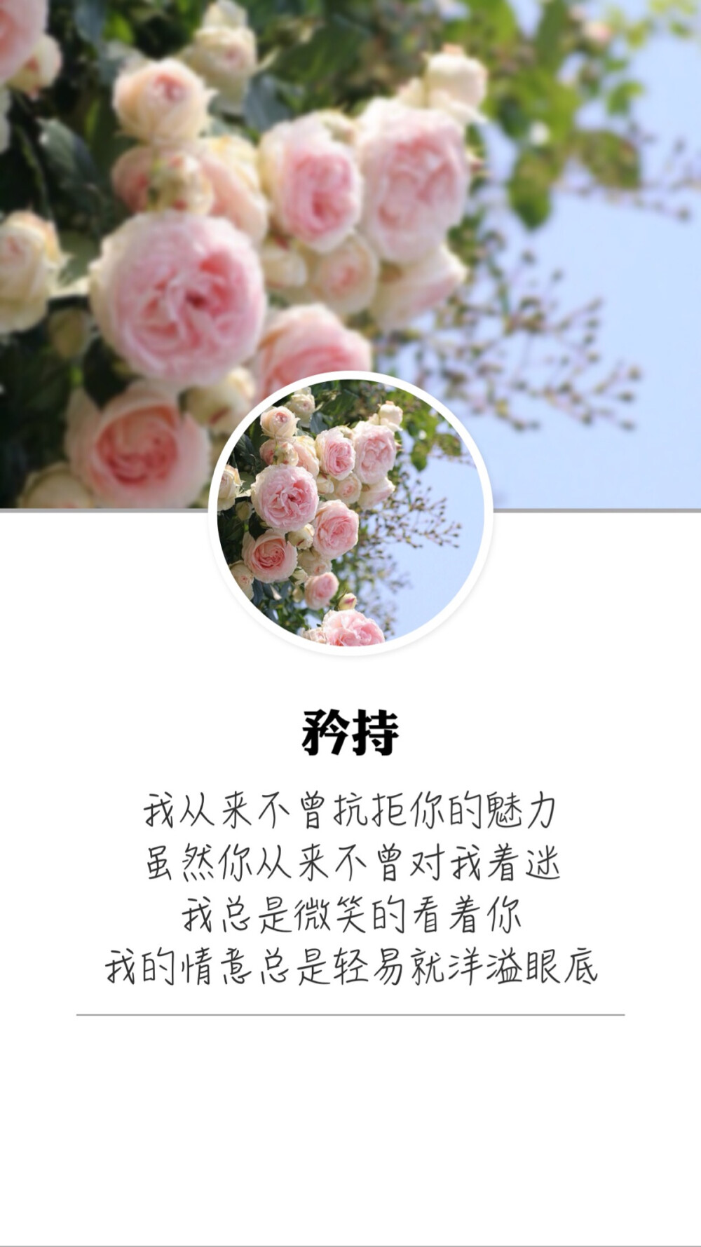 壁纸 文字 花 矜持