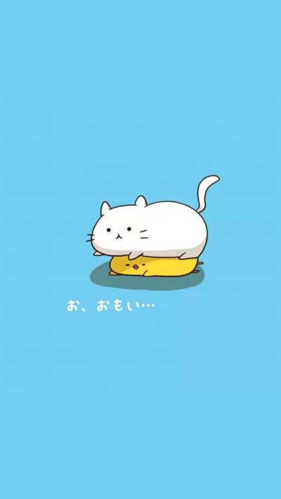 呆萌的小动物