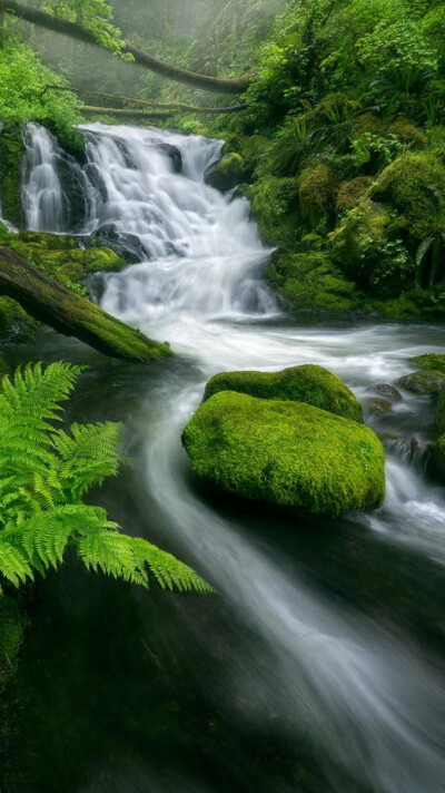 背影风景壁纸苹果