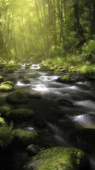 背影风景壁纸苹果