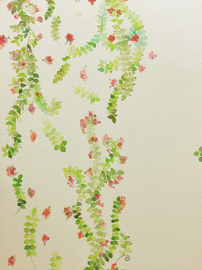 小清新 绿叶 壁纸 桌面 原创 水彩 画 藤蔓 花枝 浆果