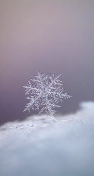 雪花壁纸高清