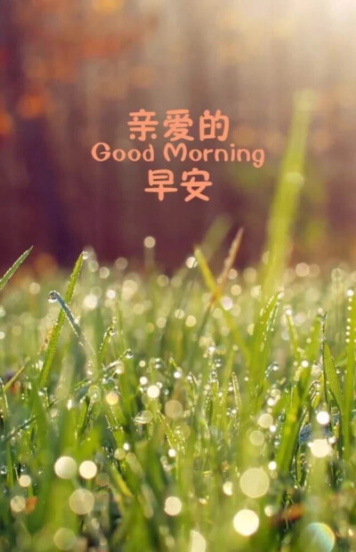 亲爱的晚安(*^3^)