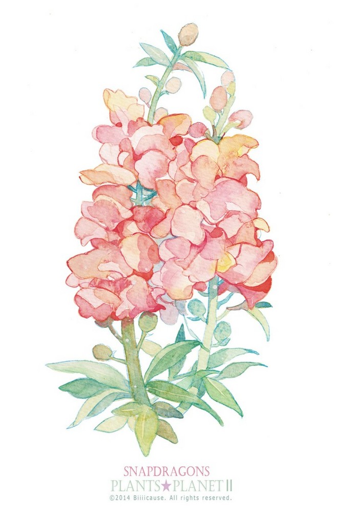 色彩 水彩 手绘 铅笔 彩铅 彩色 可爱 插画 艺术 动漫(画) 黑白 植物