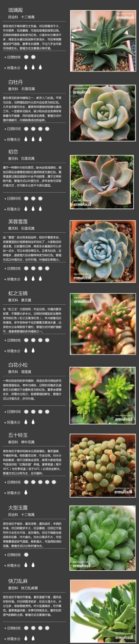 100种常见多肉植物图鉴