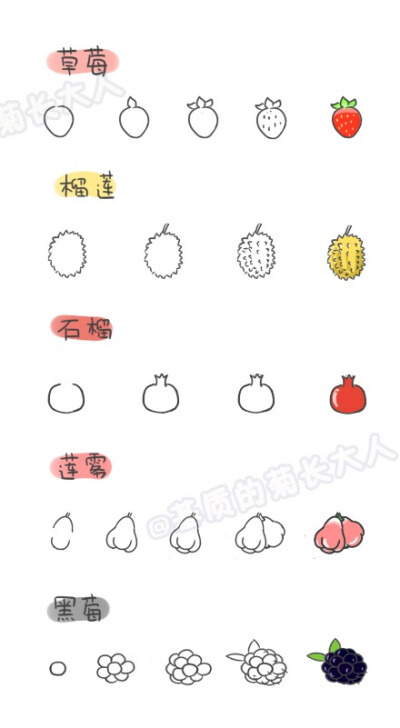 手账,简笔画,草莓榴莲,石榴,莲雾,黑莓