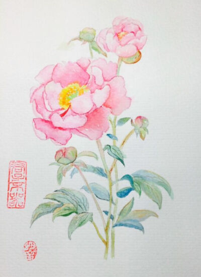 每天10分钟,跟飞乐鸟学画画#本周教程来自《水彩入门必须500例 花卉