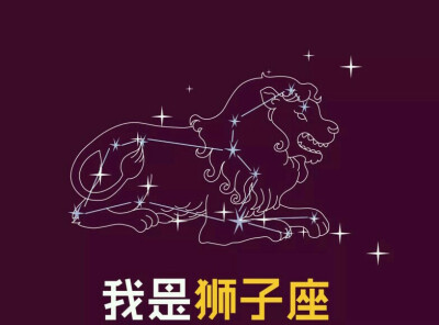 十二星座☆我是狮子座