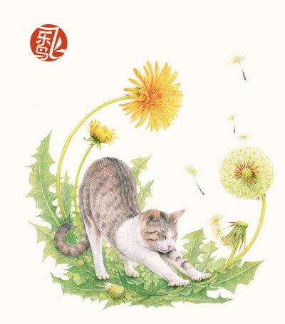 彩铅,猫咪,蒲公英,花卉