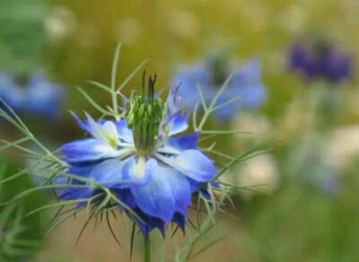 占卜 堆糖 美图壁纸兴趣社区